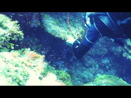 Roatan 2018 Mike tries for a Lionfish