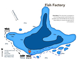 Fish Factory