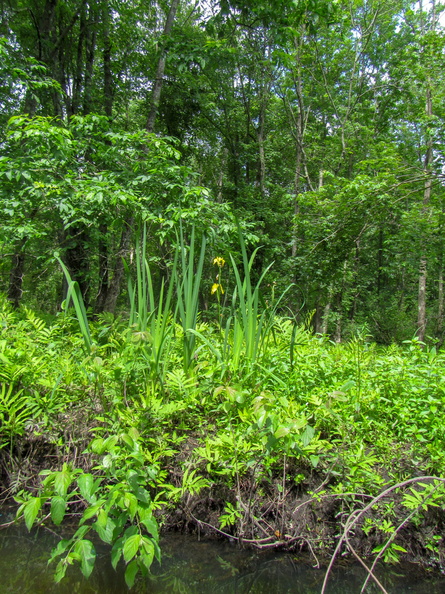 IMG_9253.jpg