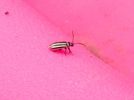 IMG 9689