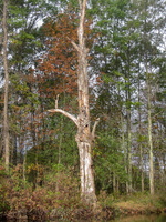 IMG 9881