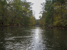 IMG 9888