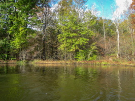 IMG 9899