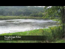Tioughnioga River  9-4-11