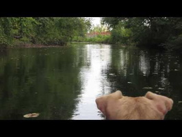 Paddling Feeder Canal, Glens Falls, NY