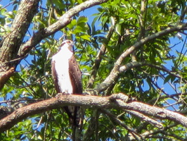 9-17-16 Croton River