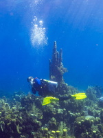 Eloise and Pillar Coral IMG 1395