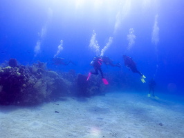 Divers IMG 1489