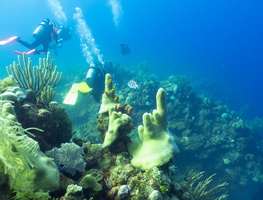 Hand Shapped Pillar Coral and Divers IMG 1754