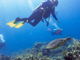 Eloise and Karen with  a Hawksbill Sea Turtle IMG 1792