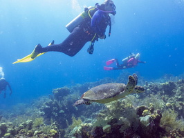 Eloise and Karen with a Hawksbill Sea Turtle IMG 1793