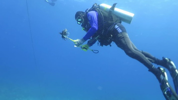 John feeds Mutton Snapper a Lionfish MVI 1808