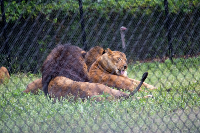 _MG_5860.jpg