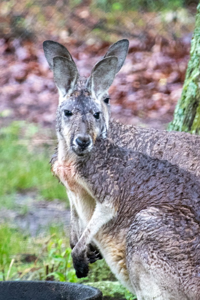 _MG_5900.jpg