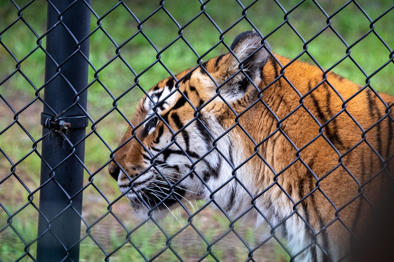 _MG_5917.jpg
