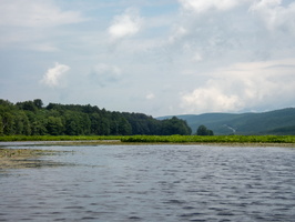 P6113747