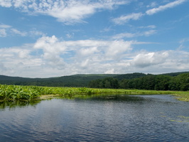 P6113748