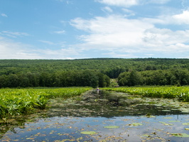 P6113758