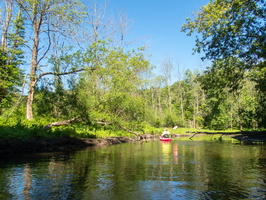 6-13-20 Great Swamp South