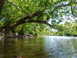 6-20-20 Wallkill River, Montgomery