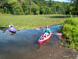 7-30-20 Wappingers Creek