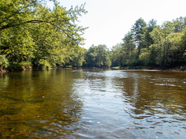 P8144682