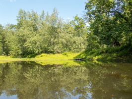 P8144720