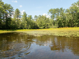 P8144728