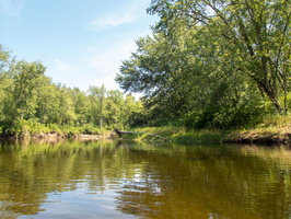P8144732