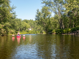 P8144754