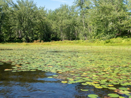 P8144757