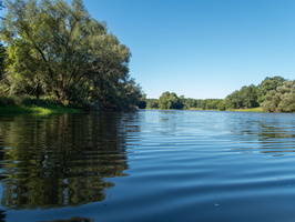 P8204778