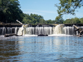 P8204851