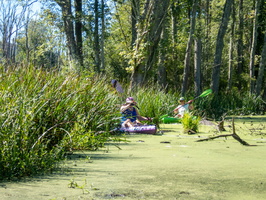 9-5-20 Great Swamp Far North, Wingdale