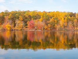 10-22-20 White's Pond