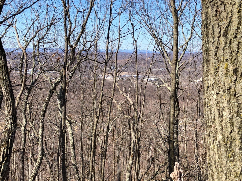 IMG_8893.jpg