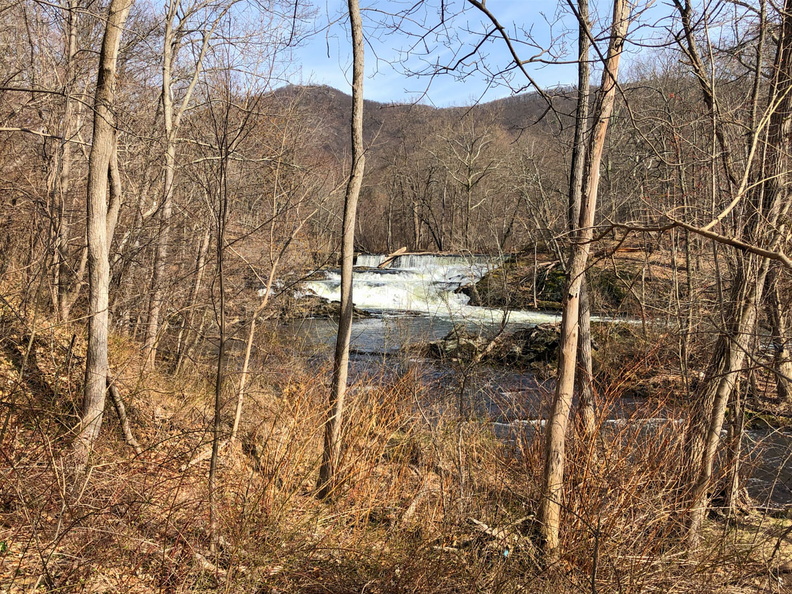 IMG_8947.jpg