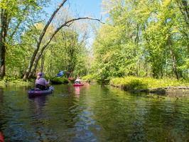 Great Swamp South 5-15-21