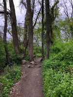 IMG 9548