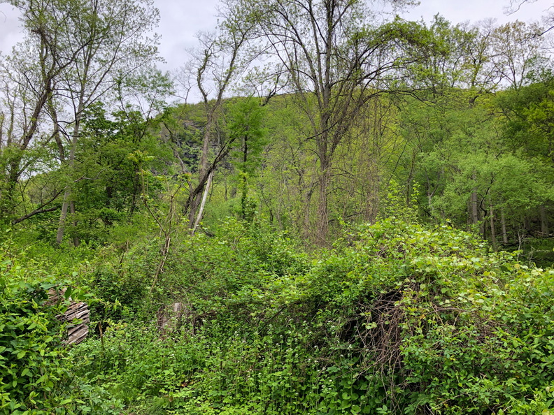 IMG_9552.jpg