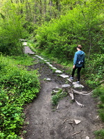 IMG 9554