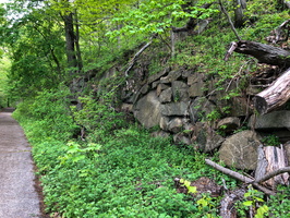 IMG 9558