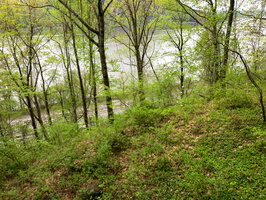 IMG 9564