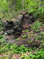 IMG 9567