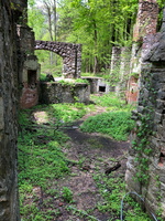 IMG 9578