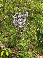 IMG 9583