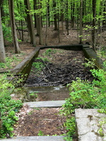 IMG 9585