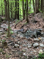 IMG 9597