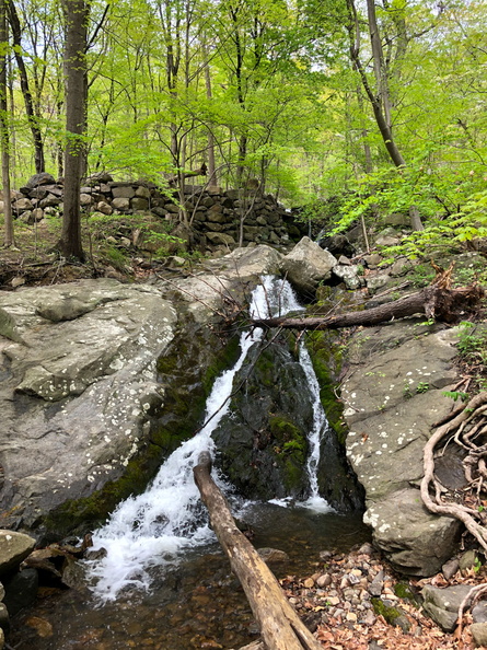 IMG_9607.jpg