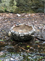 IMG 9621